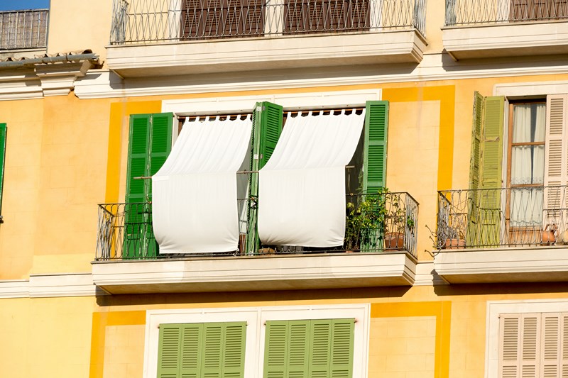palma